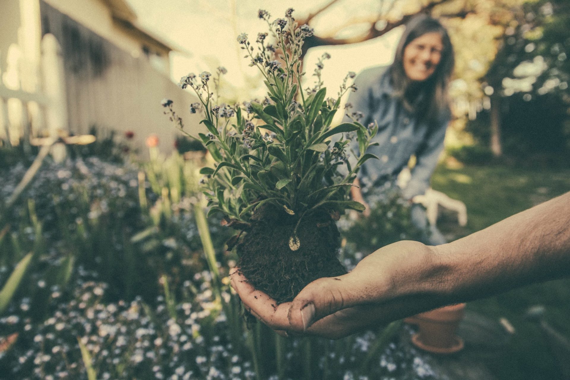 SUBLIMER SON JARDIN EN HIVER, C’EST POSSIBLE !